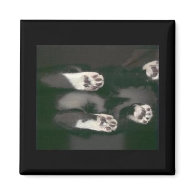 Cat Scan Magnet - black by KheestoneImages