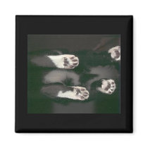 Cat Scan Magnet - black by KheestoneImages Cat Scan Magnet - black