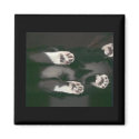 Cat Scan Magnet - black