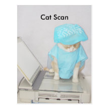 Cat Scan Post Cards