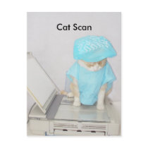 Cat Scan postcards