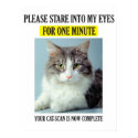 Cat Scan Poster posters by pdffun Cat Scan Poster posters
