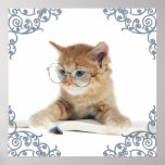 Cat Scholar Posters