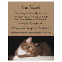 Cat Show, Pet Store, Pet Grooming Flyers