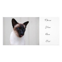 Cat Siamese Portrait Photo Greeting Card