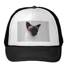 Cat Siamese Portrait Trucker Hat