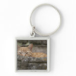 Cat sitting inside urn keychain