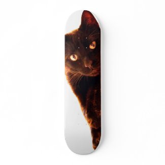 Cat Skate skateboard