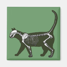cat skeleton magnet