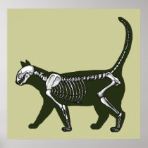 cat skeleton posters