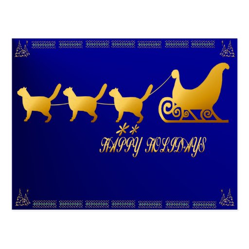 Cat Sled card Post Card