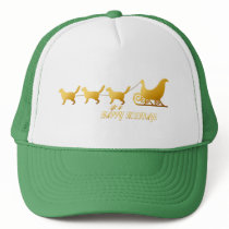 *Cat Sled hats