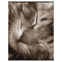 cat sleeping flyers by pinkypetals cat sleeping flyers