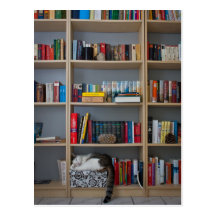 Cat sleeping in bookshelf library books post card