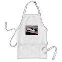 Cat Sleeping on Bench apron