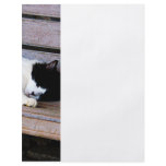 Cat Sleeping on Bench flyers