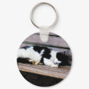 Cat Sleeping on Bench keychain