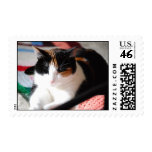 Cat Sleeping Stamps