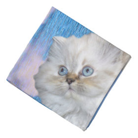 Cat Spun Polyester Bandana