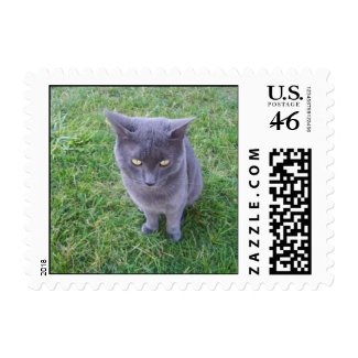 Cat Stamp (SMALL) stamp