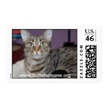 Cat Stamps!