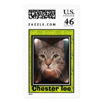 Cat Star postage