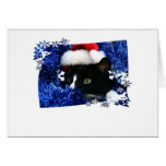 Cat staring out of blue Tinsel with santa hat Cards