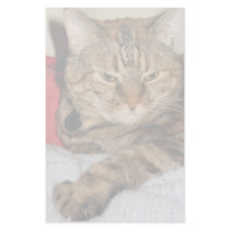 Cat stationery by DonnaGrayson_Photos Cat stationery