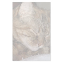 Cat stationery by DonnaGrayson_Photos Cat stationery