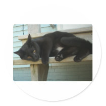 Cat stickers