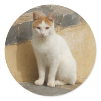 Cat Stickers stickers