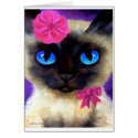 Cat, Sunrise and River Of Life cards