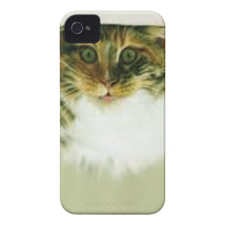 Cat-suprise Case-Mate iPhone 4 Cases