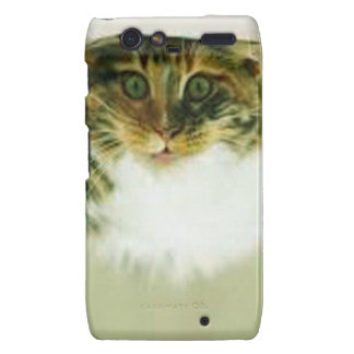 Cat-suprise Droid RAZR Covers