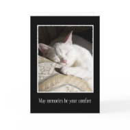 Cat Sympathy Loss of Pet Card card