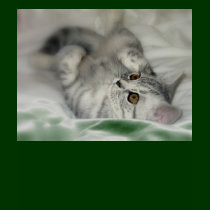 Cat T-shirt