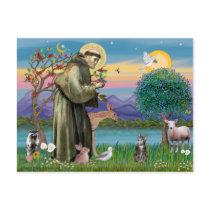 Cat (Tabby 2) - Saint Francis postcards by heartsonggallery Cat (Tabby 2) - Saint Francis postcards