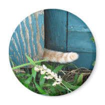 Cat Tail ~ magnet