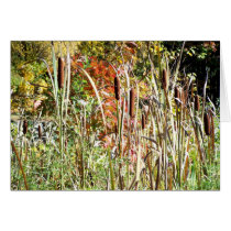 Cat Tails cards