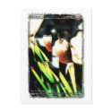 Cat Tails postcards
