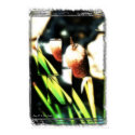 Cat Tails posters