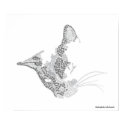 Cat Text Portrait Print