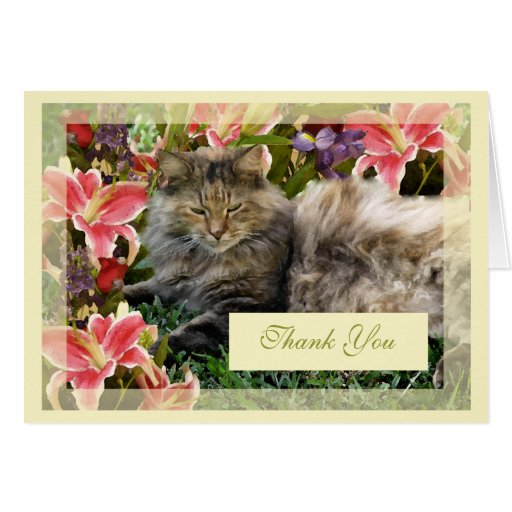 cat-thank-you-card-blank-zazzle