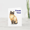 Cat 'Thank You' Notecard card