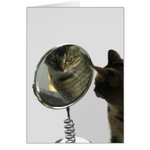 Cat Thinking And Looking In Mirror Greeting Card