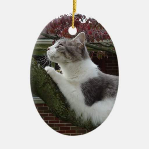 Cat Thoughts Christmas Tree Ornaments | Zazzle