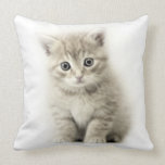 CAT THROW PILLOWS