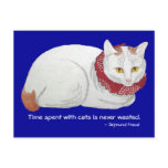 Cat Time Postcard