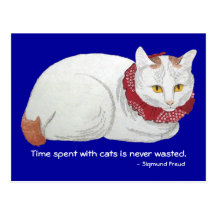 Cat Time Postcard