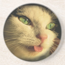 Cat Tongue coasters